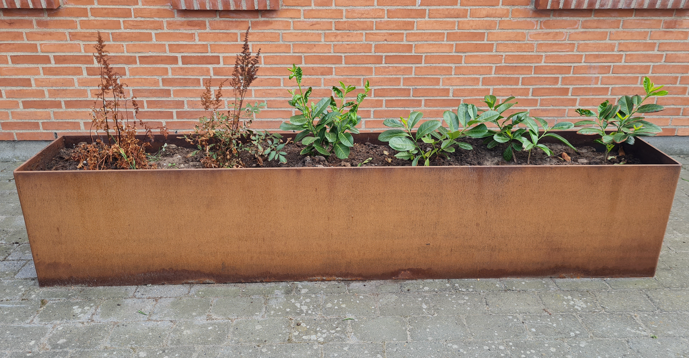 Højbed 300×40x80 cm corten